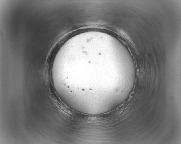 X0000067871360200605041756