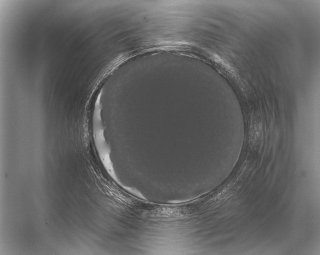 X0000067871362200605041756