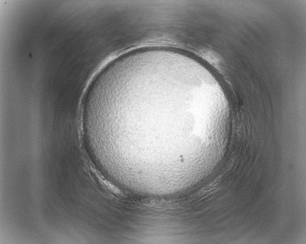 X0000067871366200605041756