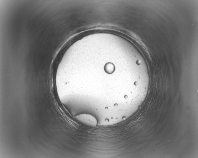 X0000067871368200605041756