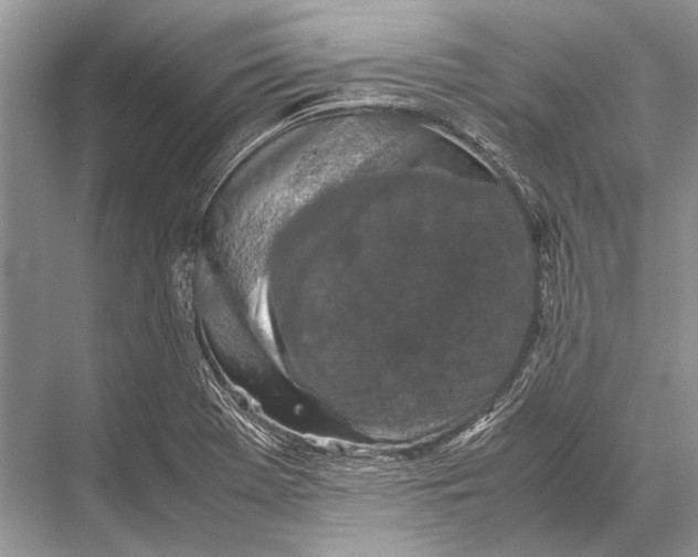 X0000067871369200605041756