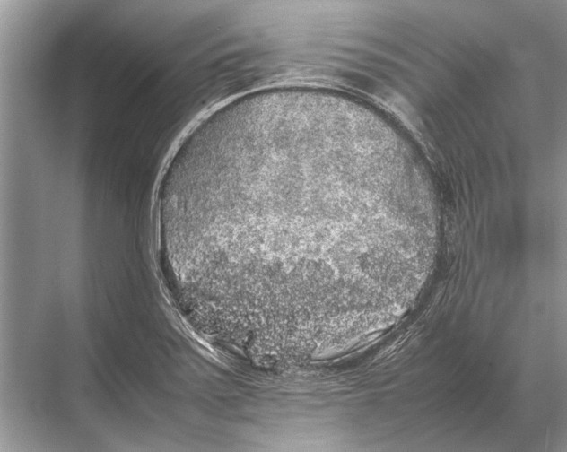 X0000067871371200605041756