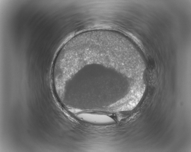 X0000067871373200605041756