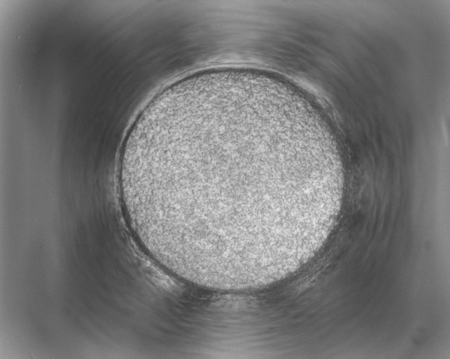 X0000067871374200605041756