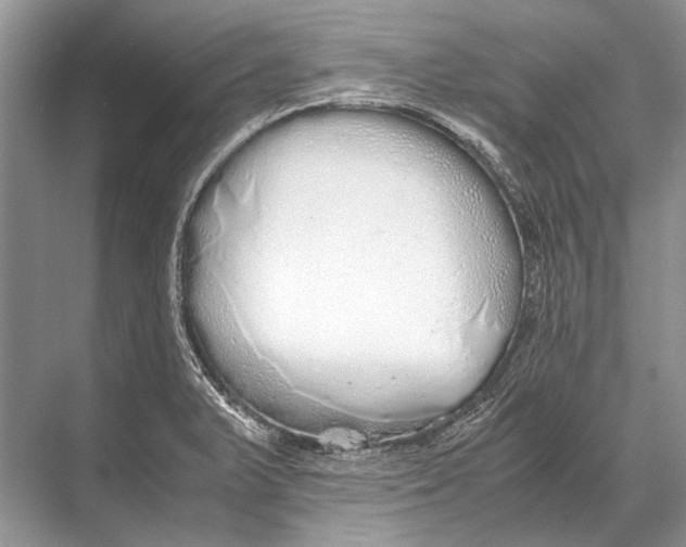 X0000067871375200605041756