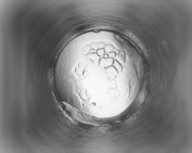 X0000067871377200605041756