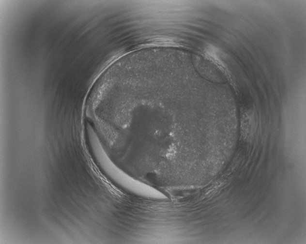 X0000067871378200605041756