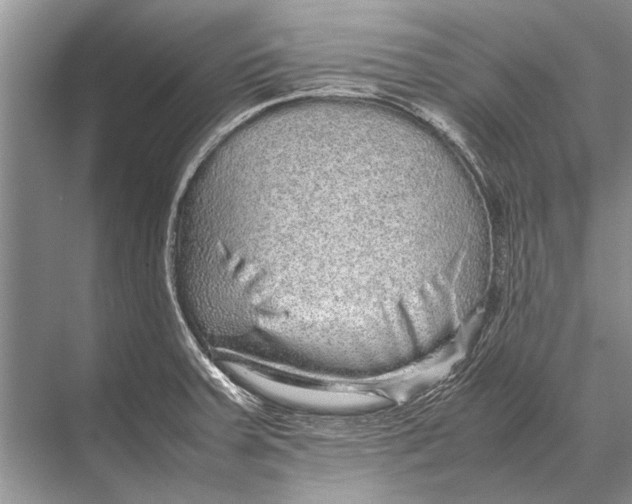 X0000067871379200605041756