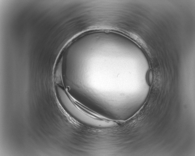 X0000067871380200605041756