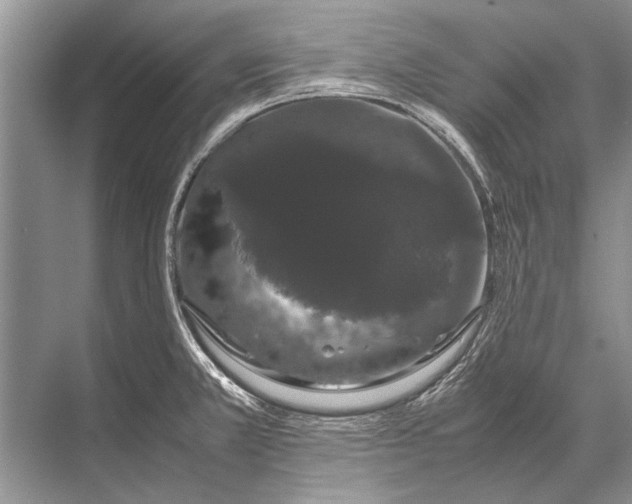 X0000067871381200605041756