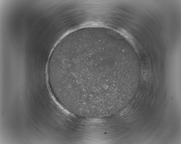 X0000067871382200605041756