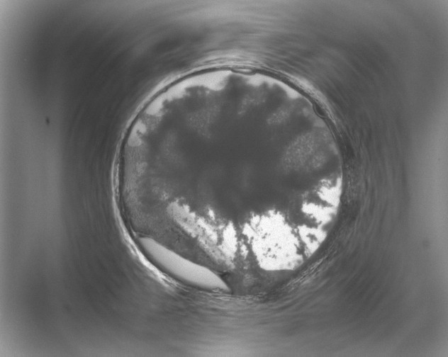 X0000067871383200605041756