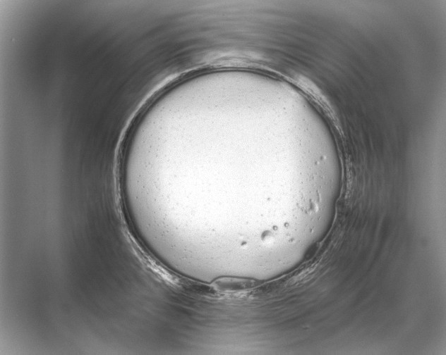 X0000067871384200605041756