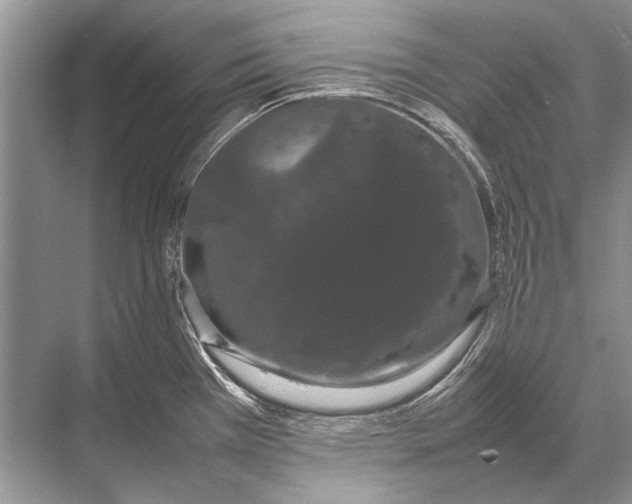 X0000067871385200605041756