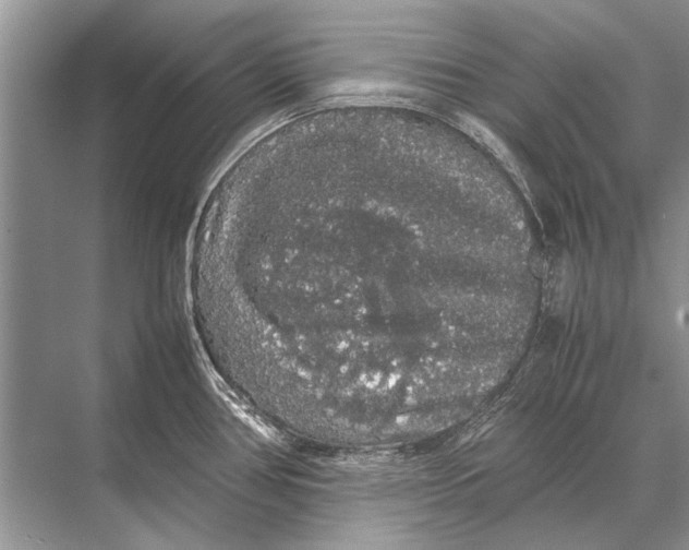 X0000067871386200605041756