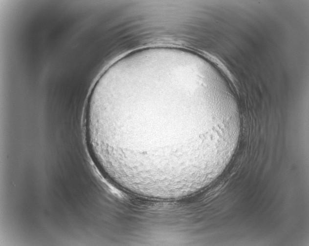 X0000067871387200605041756