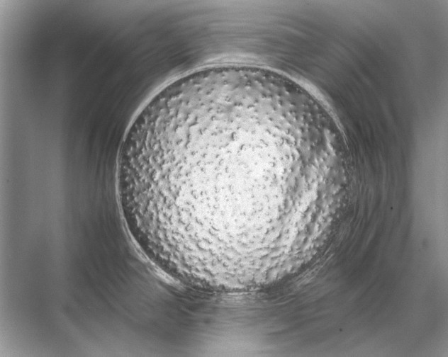 X0000067871390200605041756