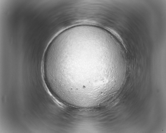 X0000067871391200605041756