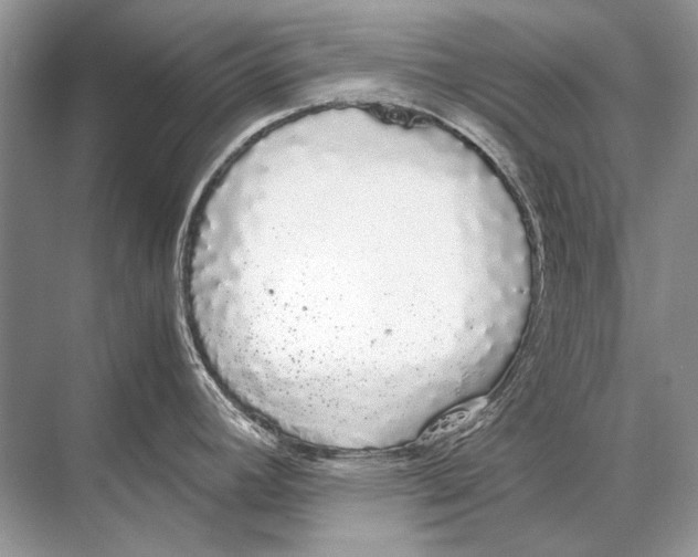 X0000067871392200605041756