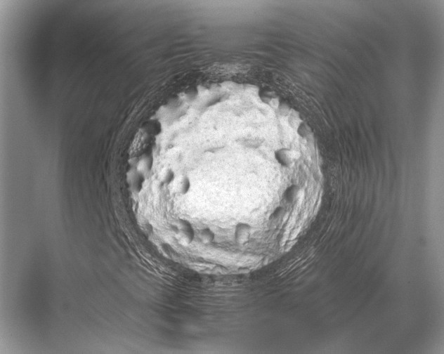 X0000067871393200605041755