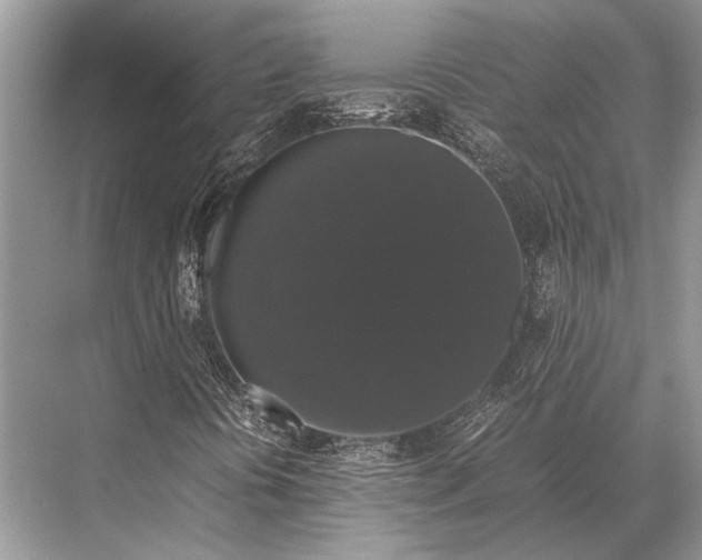 X0000067871394200605041755