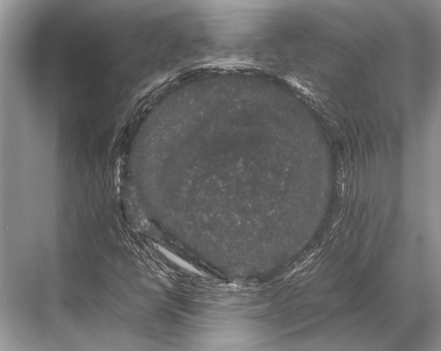 X0000067871398200605041755