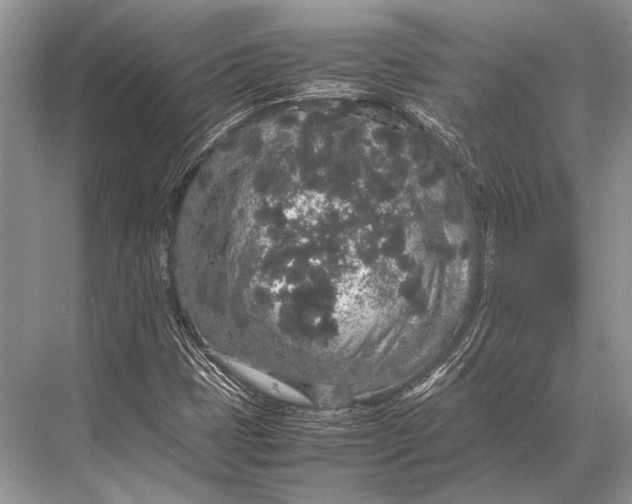 X0000067871401200605041755