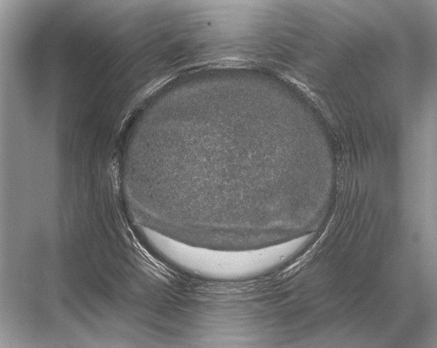 X0000067871402200605041755