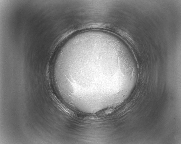 X0000067871404200605041755