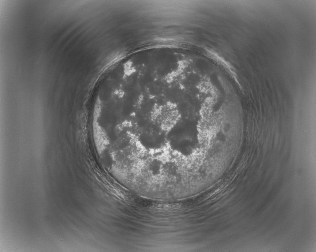 X0000067871411200605041755