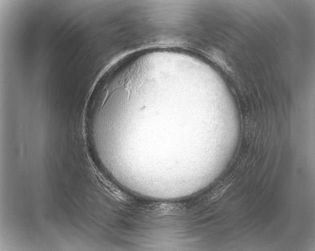 X0000067871412200605041755