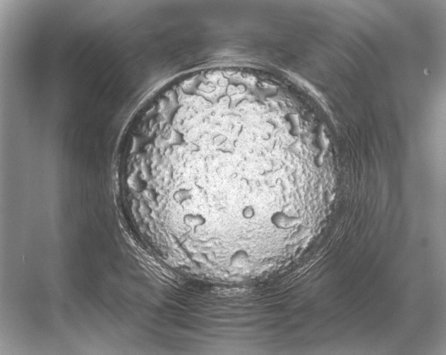 X0000067871415200605041755