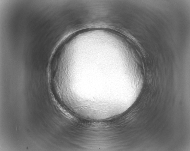 X0000067871416200605041755