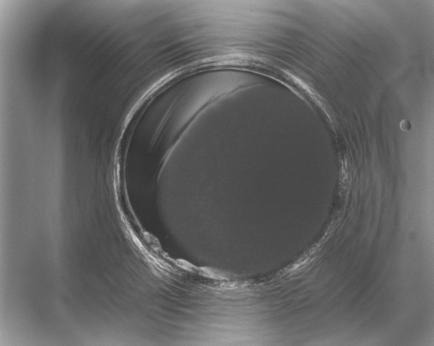 X0000067871418200605041755