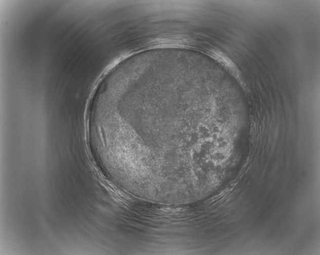 X0000067871419200605041755