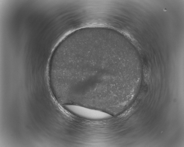 X0000067871422200605041755