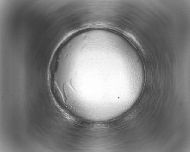 X0000067871424200605041755