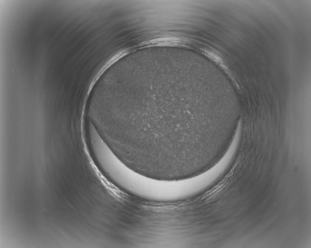 X0000067871426200605041755