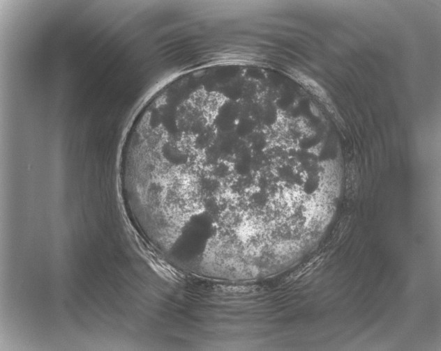 X0000067871427200605041755