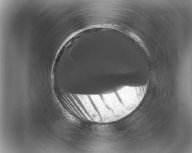 X0000067871428200605041755