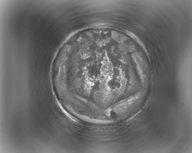 X0000067871429200605041755