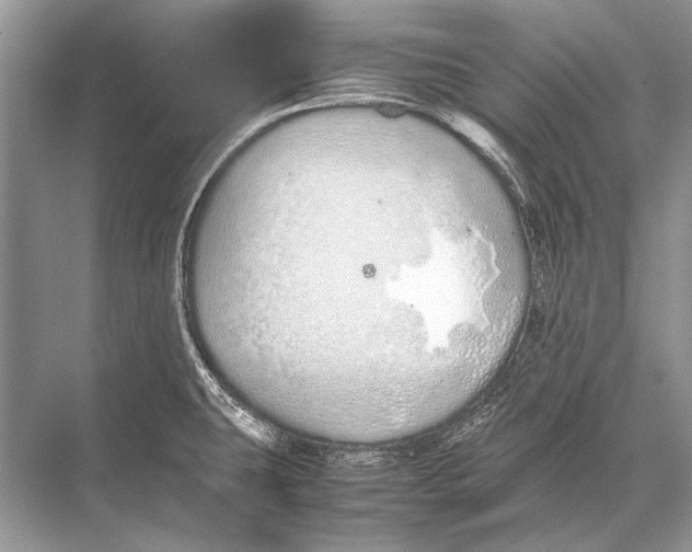 X0000067871431200605041755