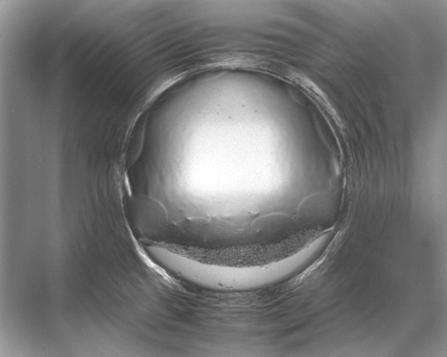 X0000067871433200605041755