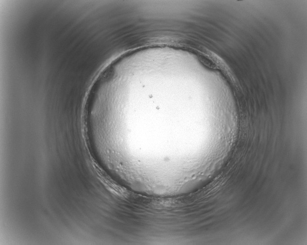 X0000067871435200605041755