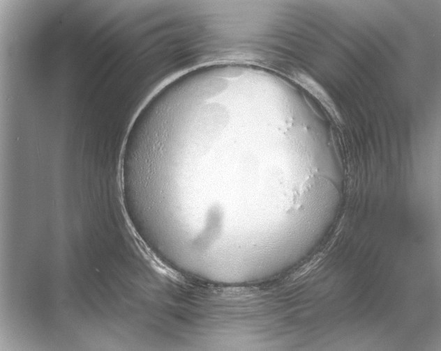 X0000067871436200605041756