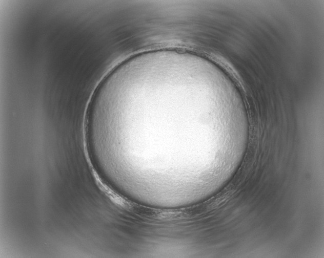 X0000067871439200605041756