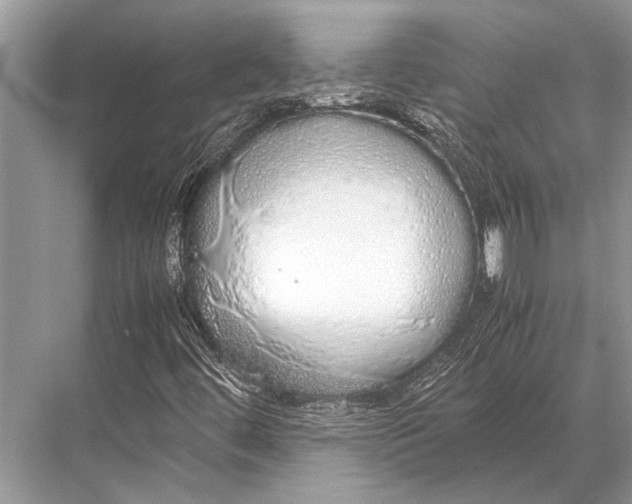 X0000067871444200605041755