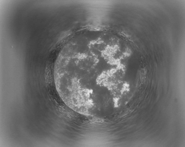 X0000067871446200605041755