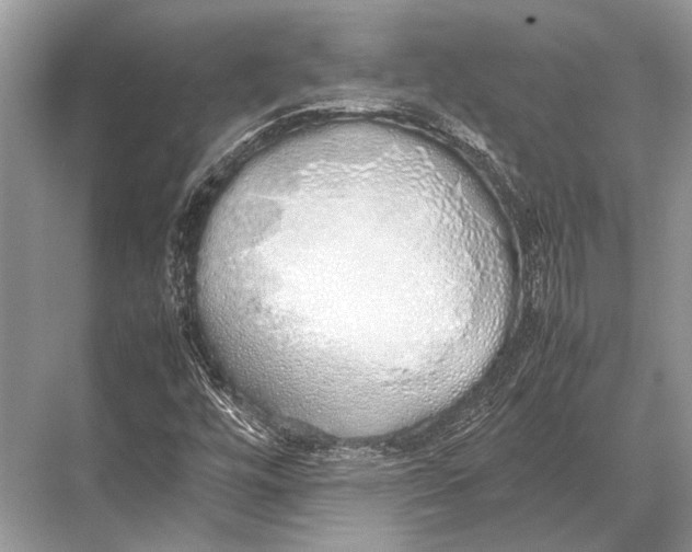 X0000067871448200605041755