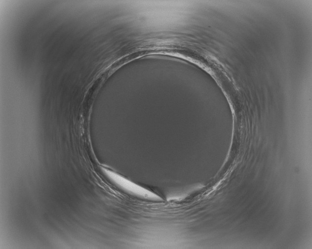 X0000067871449200605041755